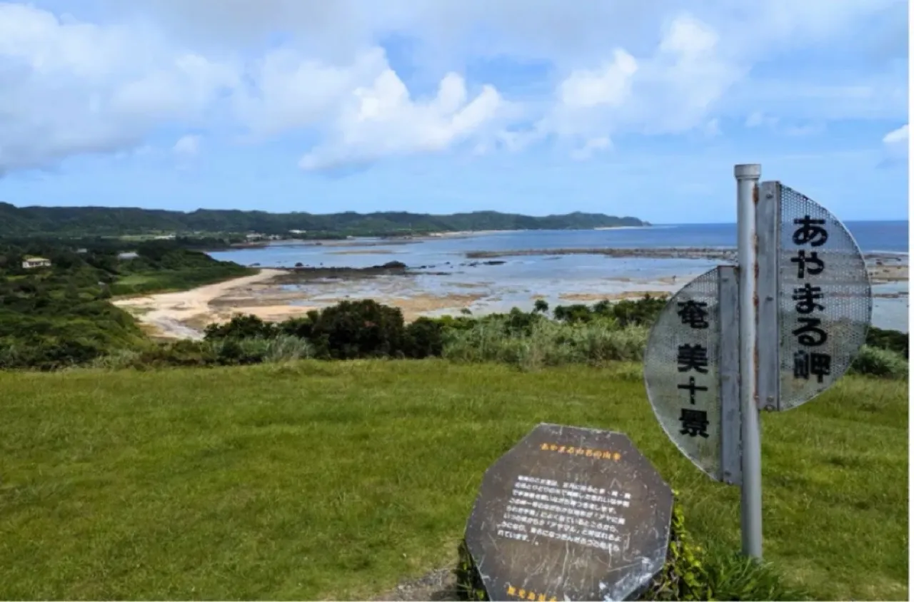 奄美大島 あやまる岬から望む海と緑